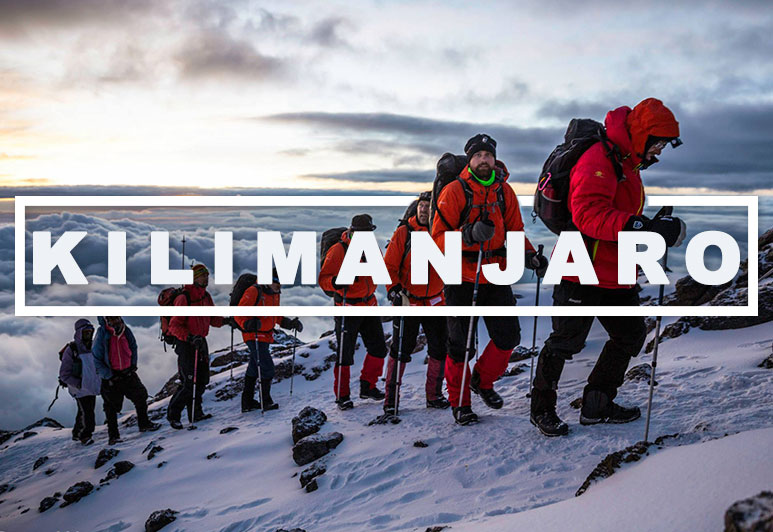 Climb Kilimanjaro