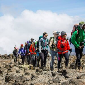 Climbing Kilimanjaro