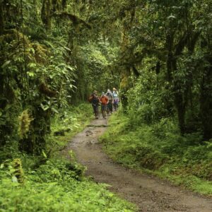 First Day Kilimanjaro