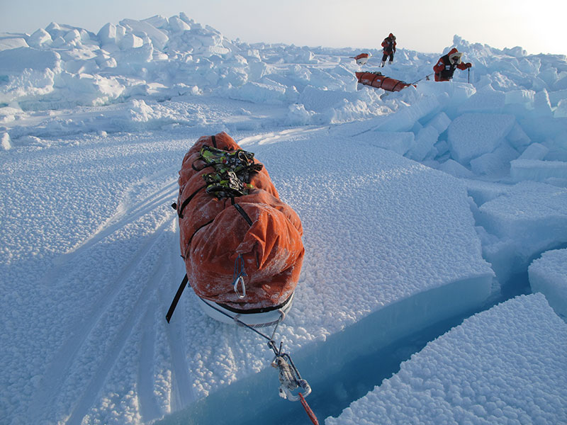 north pole expedition